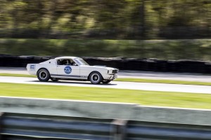 1966 Shelby GT350 on track